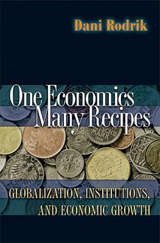 Kniha One Economics, Many Recipes Rodrik