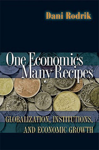 Knjiga One Economics, Many Recipes Rodrik