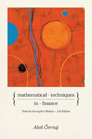 Buch Mathematical Techniques in Finance A Cerny