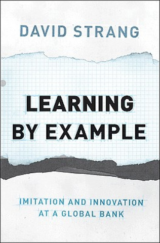 Kniha Learning by Example David Strang