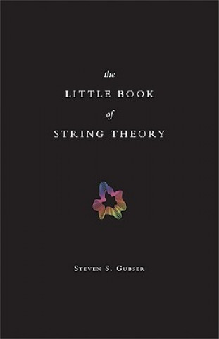 Kniha Little Book of String Theory Steven S. Gubser
