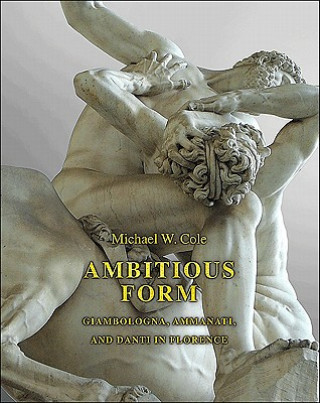 Kniha Ambitious Form Michael W. Cole