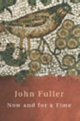 Kniha Now and for a Time John Fuller