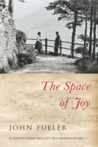 Kniha Space of Joy John Fuller