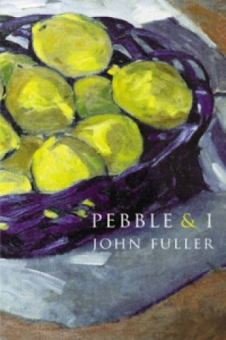 Kniha Pebble & I John Fuller