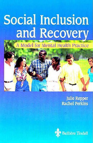Book Social Inclusion and Recovery Perkins