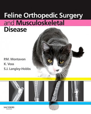 Kniha Feline Orthopedic Surgery and Musculoskeletal Disease P M Montavon