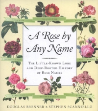 Könyv Rose by Any Name Douglas Brenner