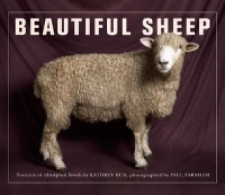 Kniha Beautiful Sheep Kathryn Dun