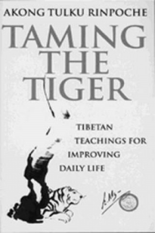 Kniha Taming The Tiger Akong Tulku Rinpoche