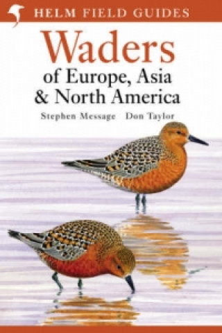 Carte Waders of Europe, Asia and North America Stephen Message