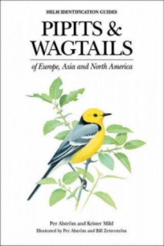 Carte Pipits and Wagtails of Europe, Asia and North America Per Alstrom