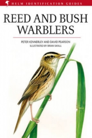 Könyv Reed and Bush Warblers Peter Kennerley