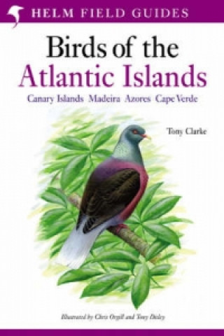 Knjiga Field Guide to the Birds of the Atlantic Islands Tony Clarke