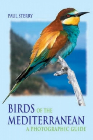 Книга Birds of the Mediterranean Paul Sterry
