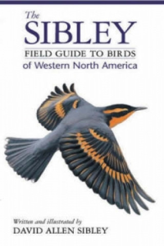 Książka Field Guide to the Birds of Western North America David Sibley
