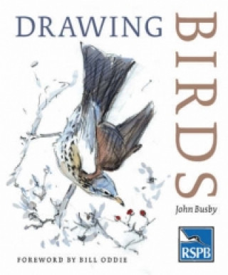 Carte Drawing Birds John Busby