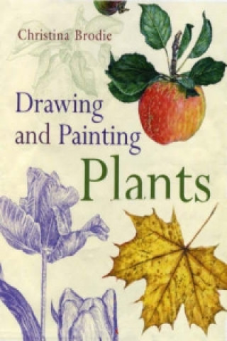 Kniha Drawing and Painting Plants Christina Brodie