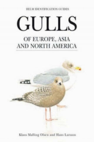 Könyv Gulls of Europe, Asia and North America Klaus Malling Olsen