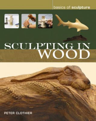Carte Sculpting in Wood Peter J Clothier