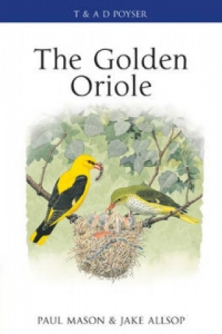 Libro Golden Oriole Jake Allsop