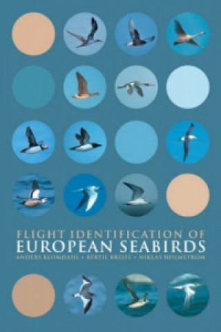 Carte Flight Identification of European Seabirds Anders Blomdahl