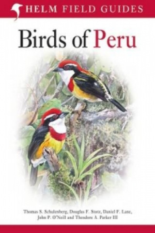 Книга Birds of Peru Thomas S Schulenberg