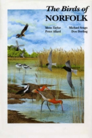 Kniha Birds of Norfolk Peter Allard