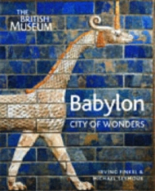 Книга Babylon I Finkle