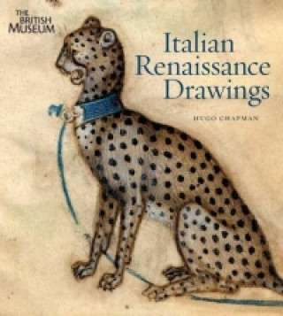 Kniha Italian Renaissance Drawings Hugo Chapman