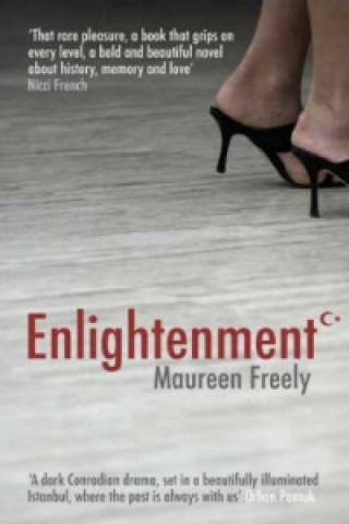 Книга Enlightenment Maureen Freely