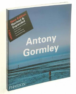 Knjiga Antony Gormley E H Gombrich