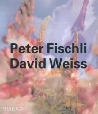 Könyv Peter Fischli David Weiss Arthur C Danto