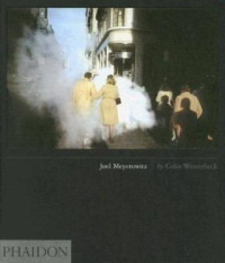 Kniha Joel Meyerowitz Colin Westerbeck
