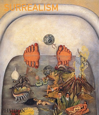 Kniha Surrealism Mary Ann Caws