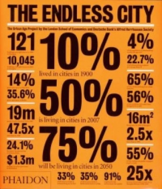 Kniha Endless City Ricky Burdett