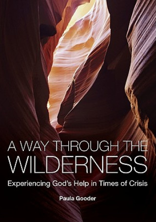 Book Way Through the Wilderness Paula Gooder