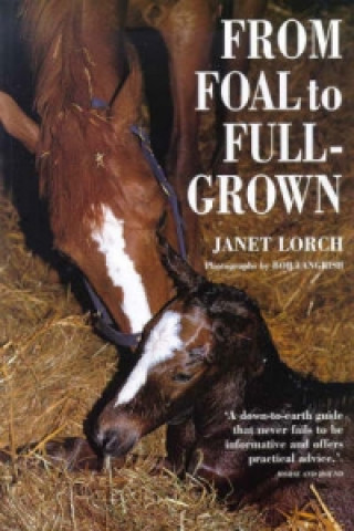 Книга From Foal to Full-grown Janet Lorch