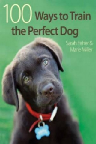 Kniha 100 Ways to Train the Perfect Dog Sarah Fisher