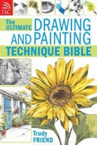 Kniha Ultimate Drawing & Painting Bible Trudy Friend