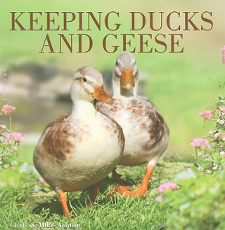 Könyv Keeping Ducks and Geese Chris Ashton