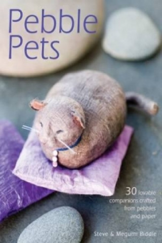 Könyv Pebble Pets Megumi Biddle