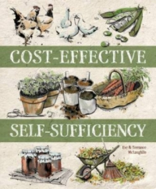 Kniha Cost-Effective Self-Sufficiency Eve McLaughlin