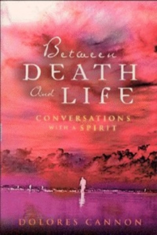 Kniha Between Death and Life Dolores Cannon