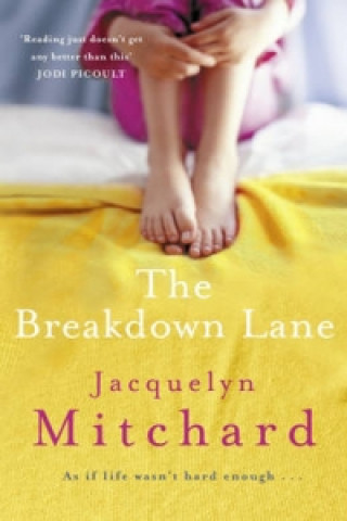 Kniha Breakdown Lane Jacquelyn Mitchard