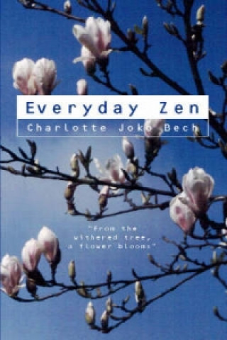 Kniha Everyday Zen Charlotte Joko Beck