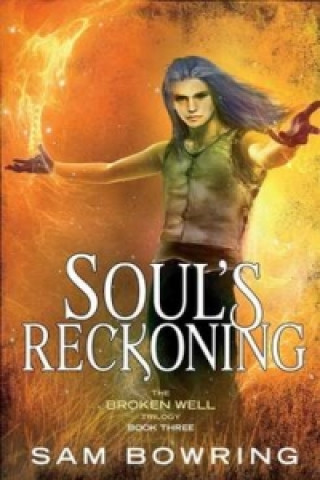 Boek Soul's Reckoning Sam Bowring