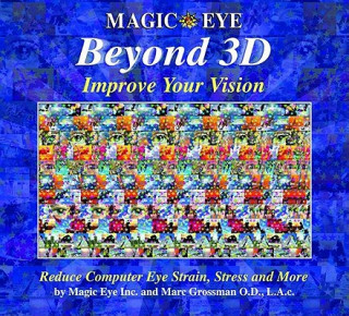 Knjiga Beyond 3D Marc Grossman