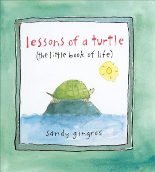 Carte Lessons of a Turtle Sandy Gingras