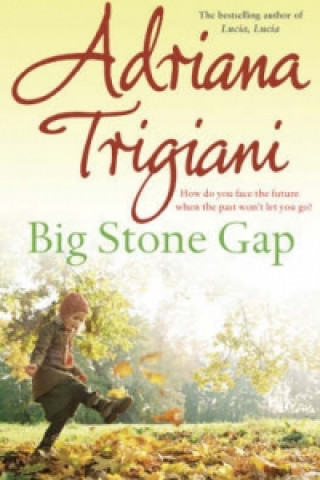 Kniha Big Stone Gap Adriana Trigiani
